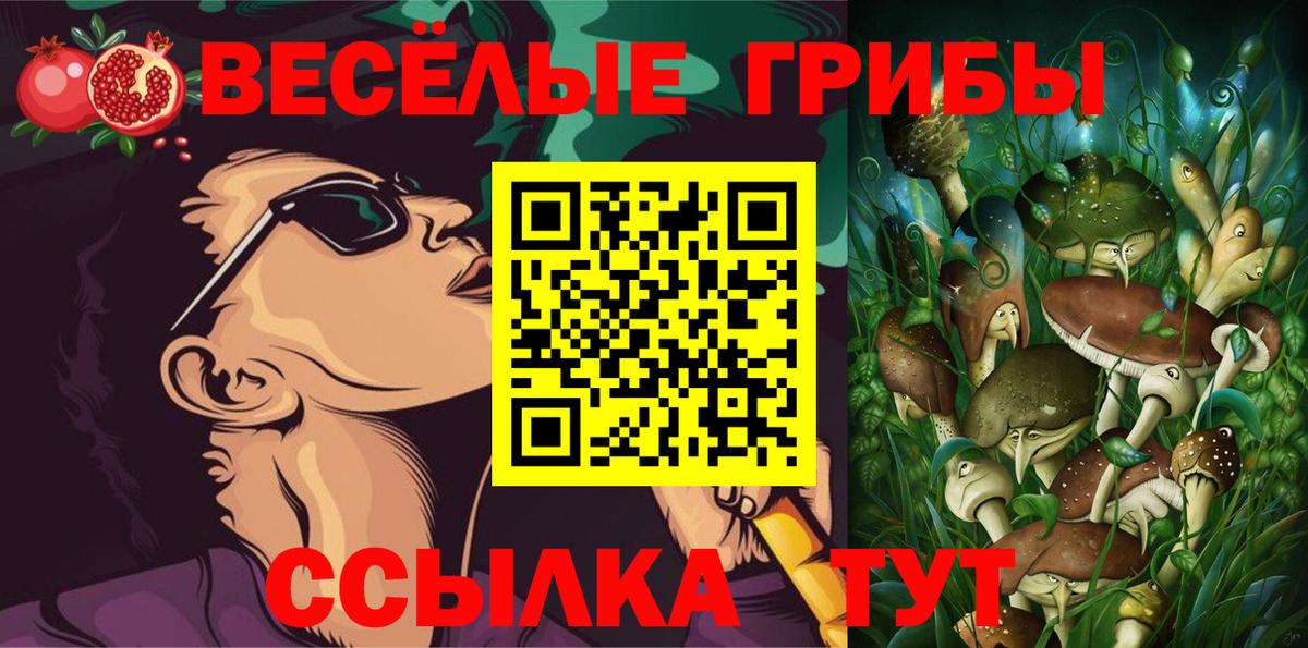 Псилоцибиновые грибы Psilocybine cubensis Саяногорск